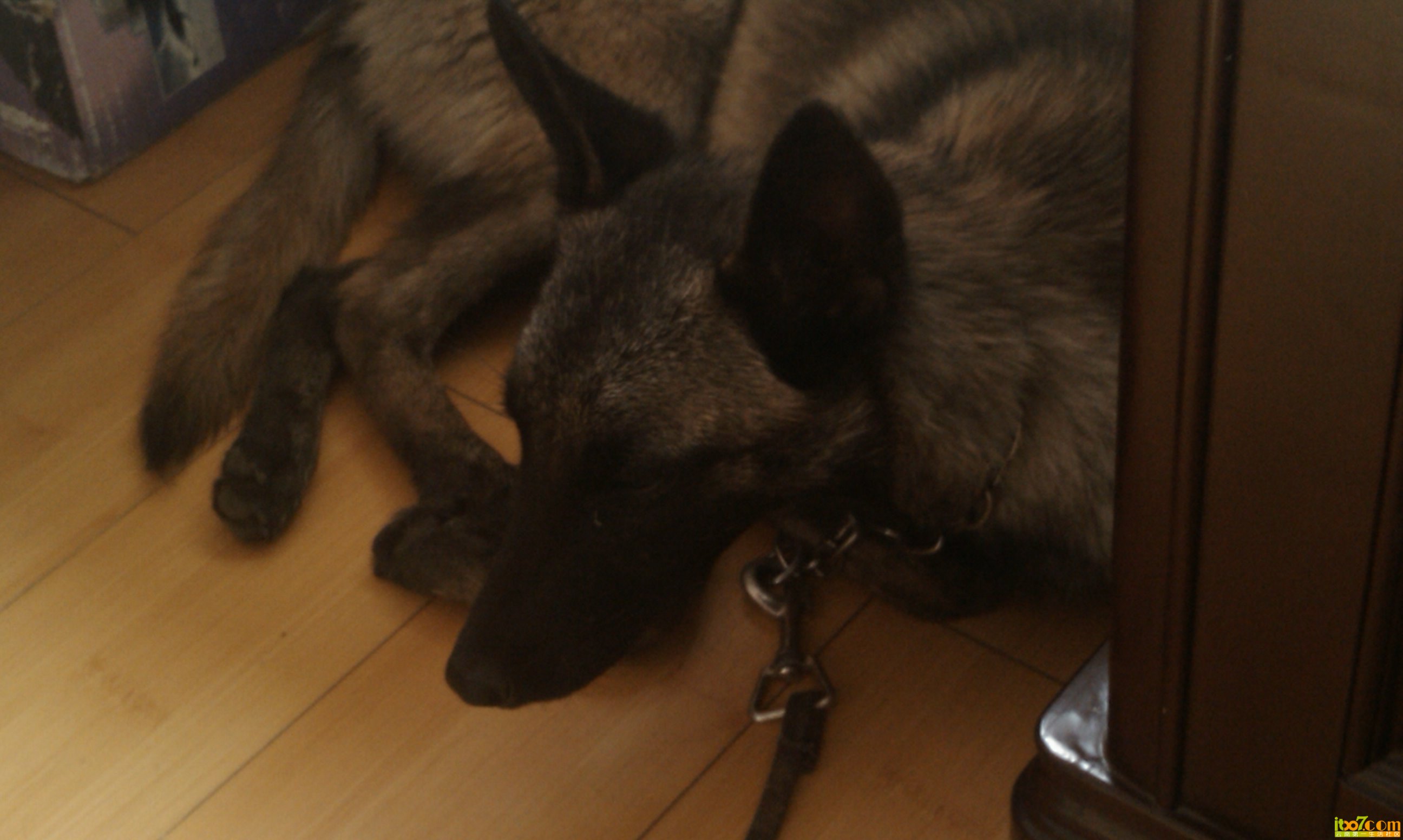 IMAG0053.jpg