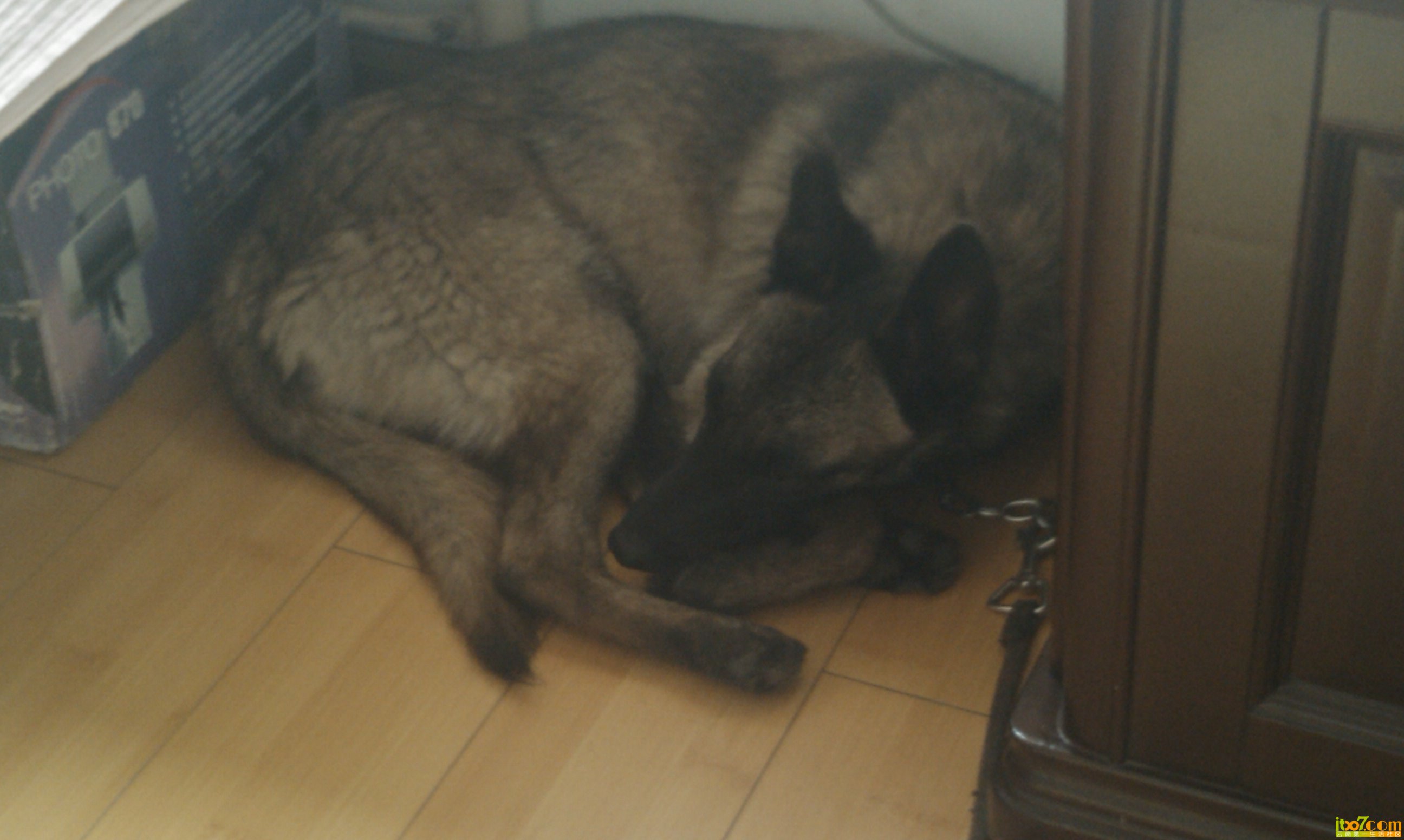 IMAG0051.jpg
