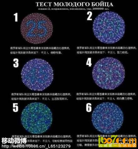 feed_4a617004b5cdffd99b78bg5z5_470x7200.jpg