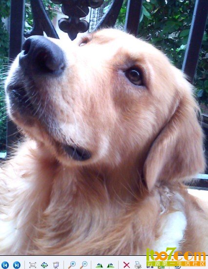 201063014445912077.jpg
