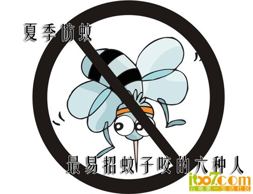 huge4f0515e821cfd副本.jpg