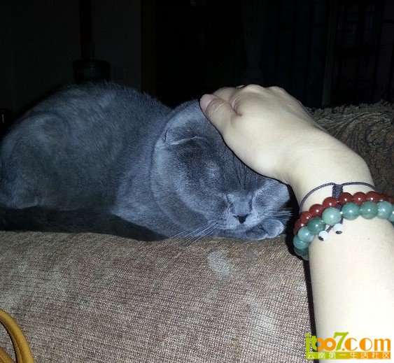 NZE@UF$`4)[BWQ_L1Q(H8VS.jpg