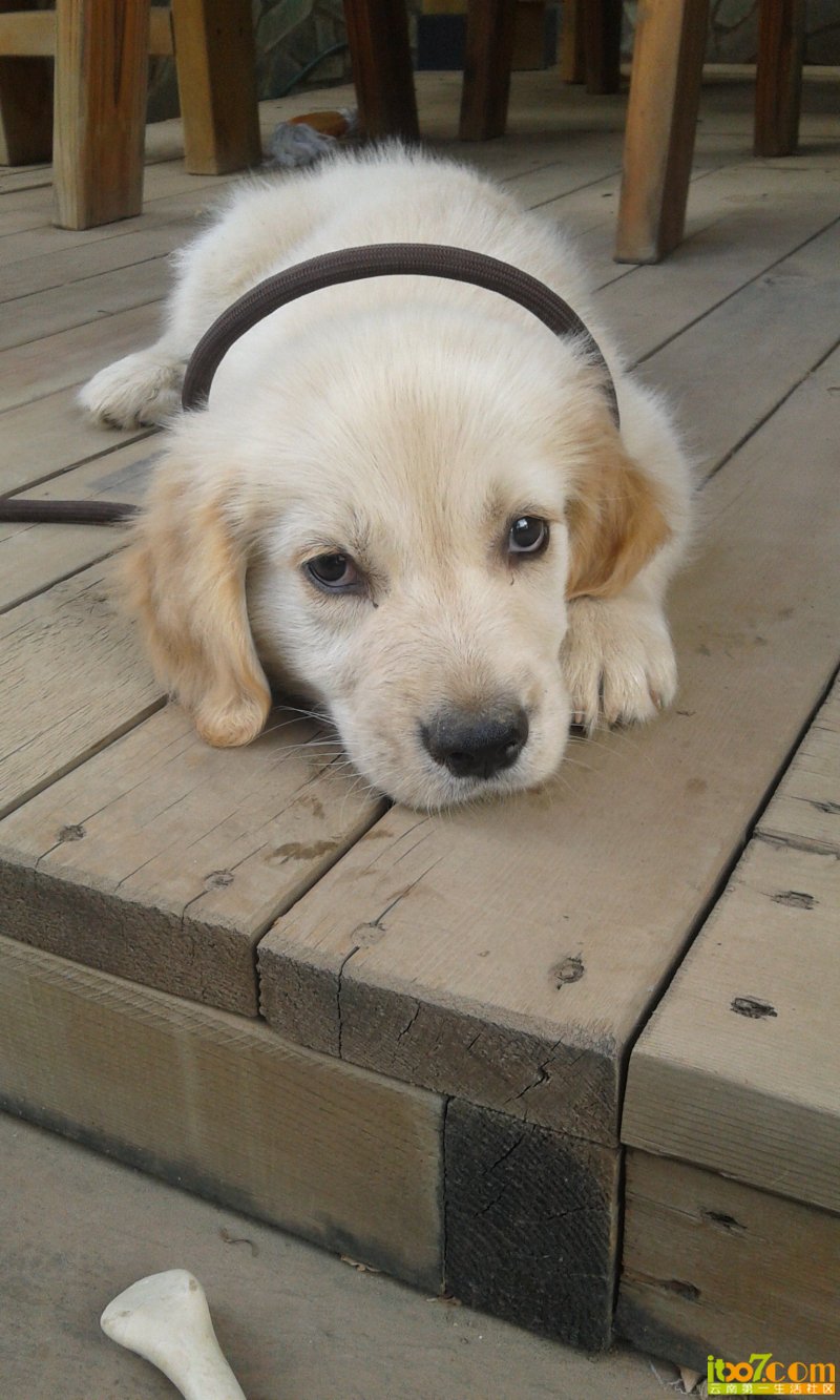 20130701_170613.jpg