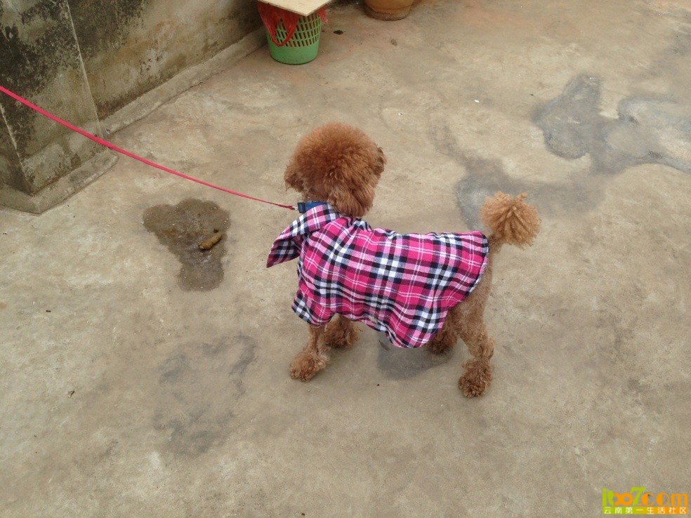 QQ图片20130705154902.jpg