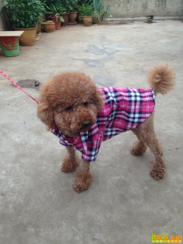 QQ图片20130705154914.jpg