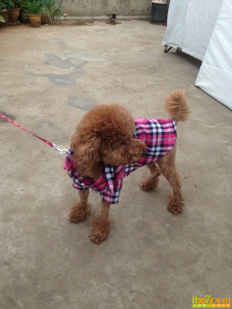QQ图片20130705154919.jpg