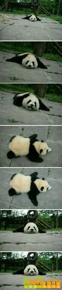 QQ图片20130714172201.jpg