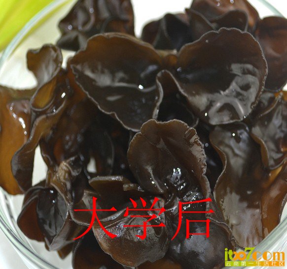 QQ截图20130717214521_副本.jpg
