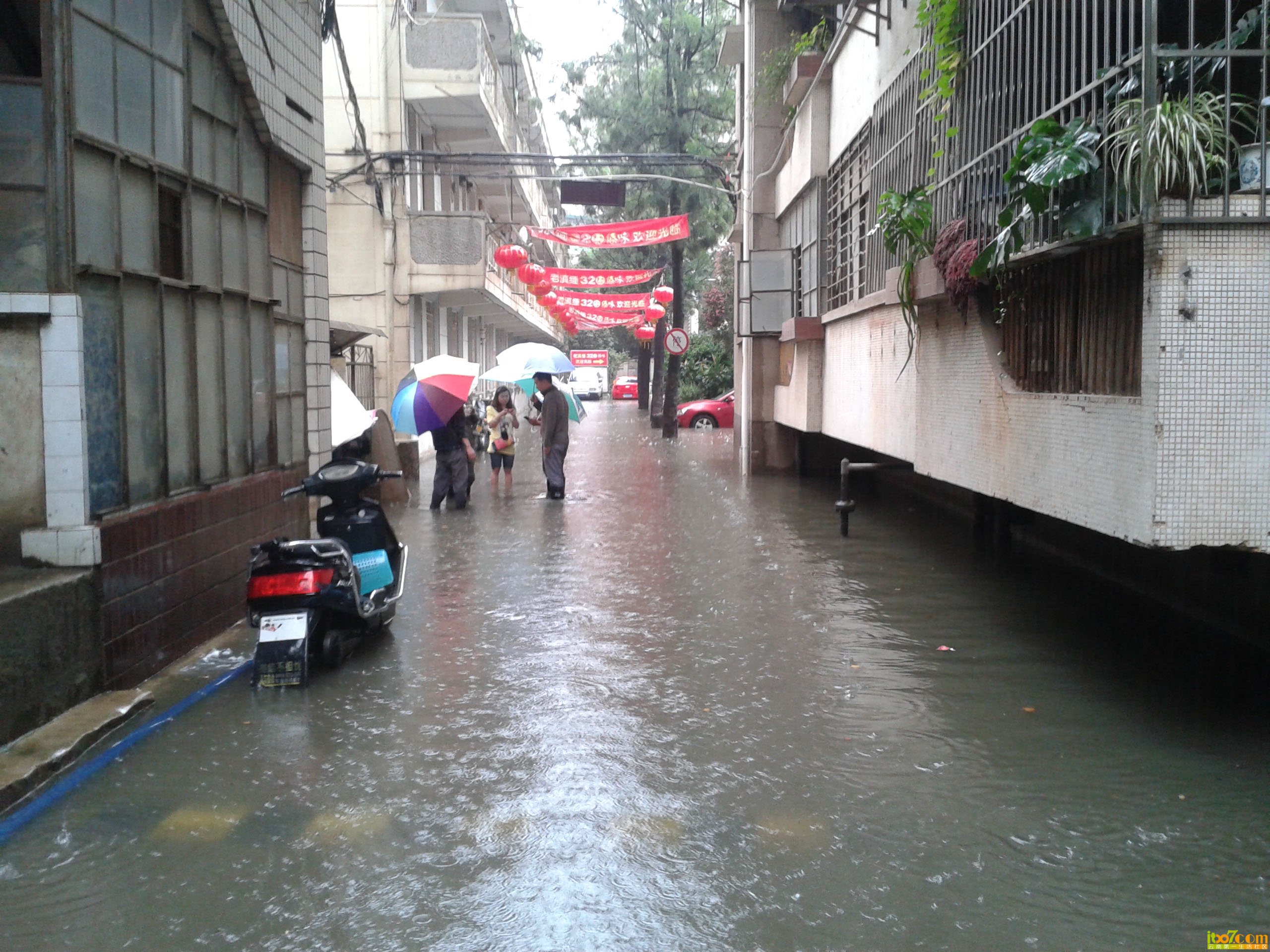 20130719_094118.jpg