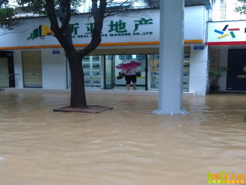 IMG_20130719_084725_调整大小.jpg