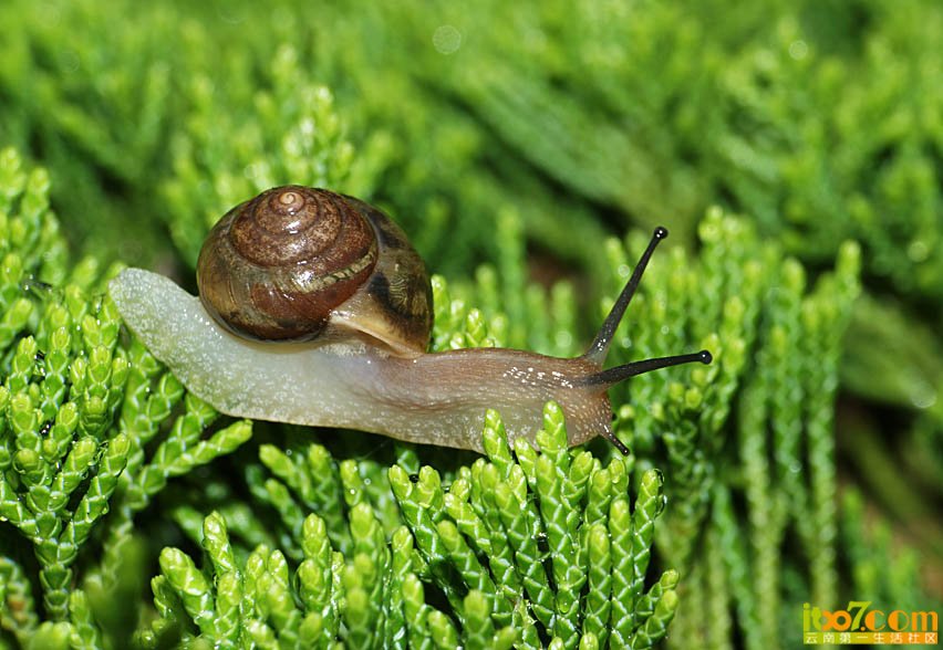 DSC08936.JPG