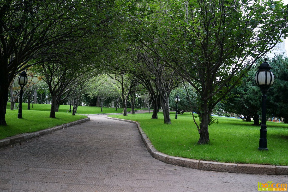 04.jpg