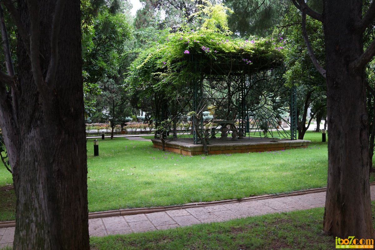 05.jpg