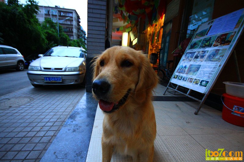 IMG_7104_副本.jpg