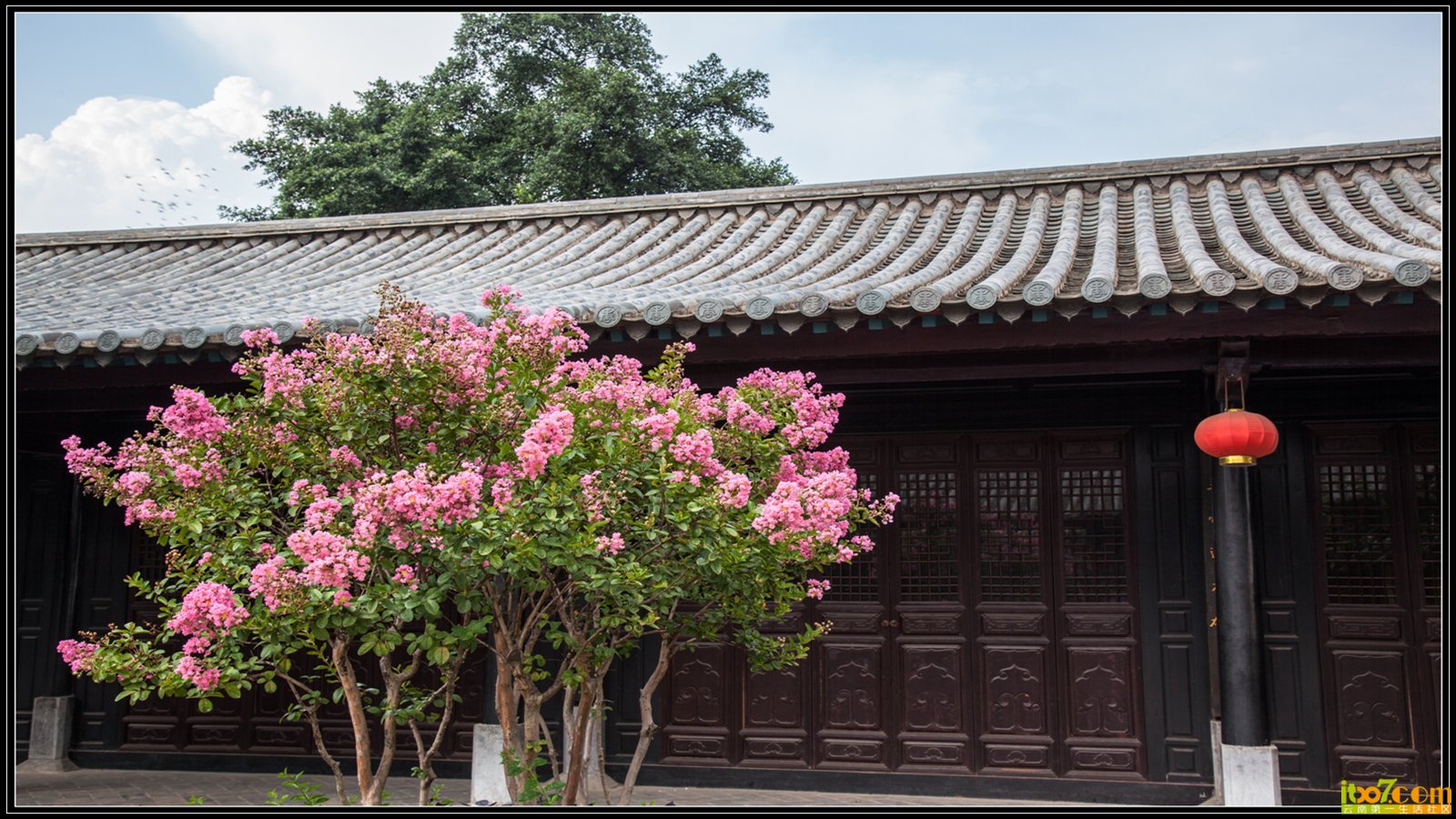 20130721-1-14.jpg