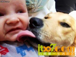 IMG20130726015913.jpg