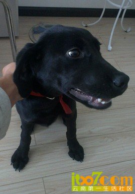 QQ图片20130730111646.jpg