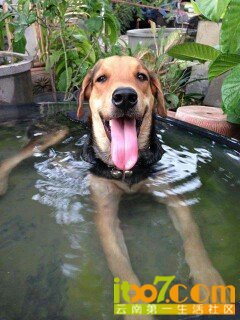 IMG20130730131449.jpg