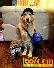 IMG20130730131504.jpg