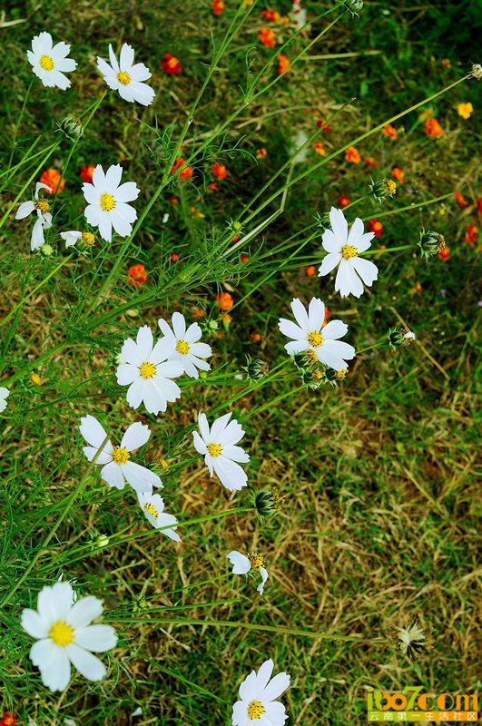 DSC_5973.jpg