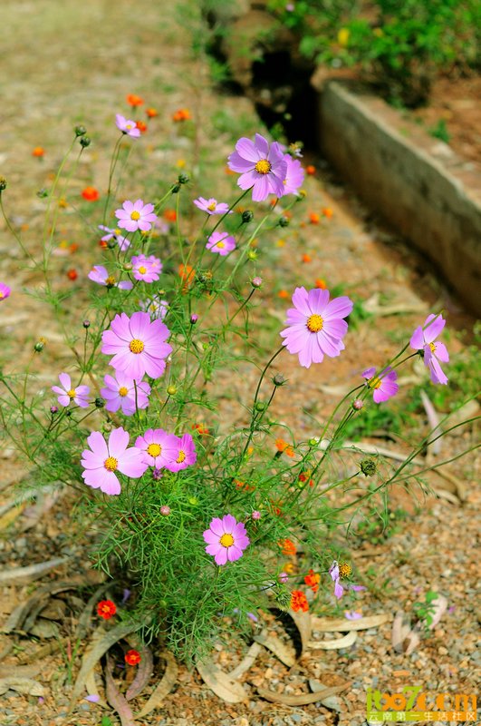DSC_5989.jpg