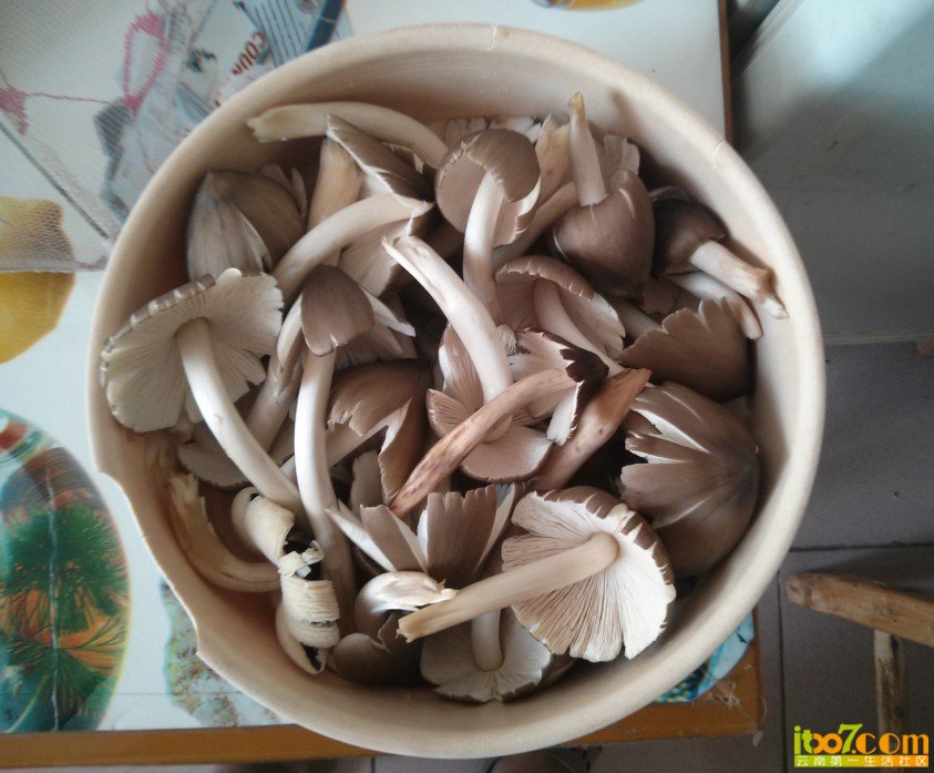 QQ图片20130731143611.jpg