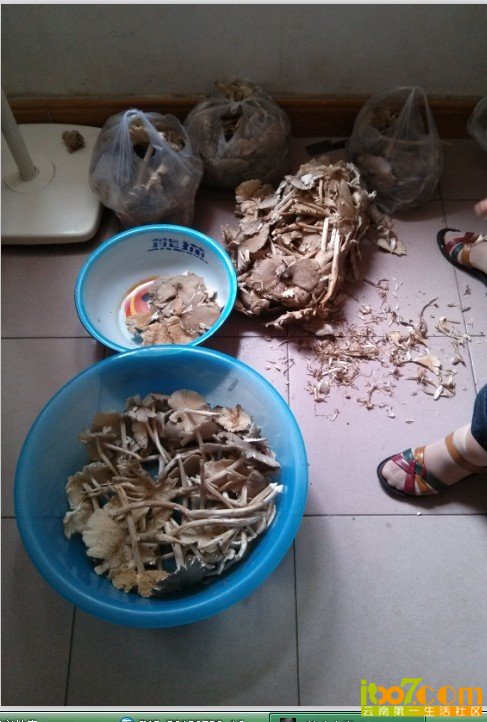 QQ图片20130731143712.jpg