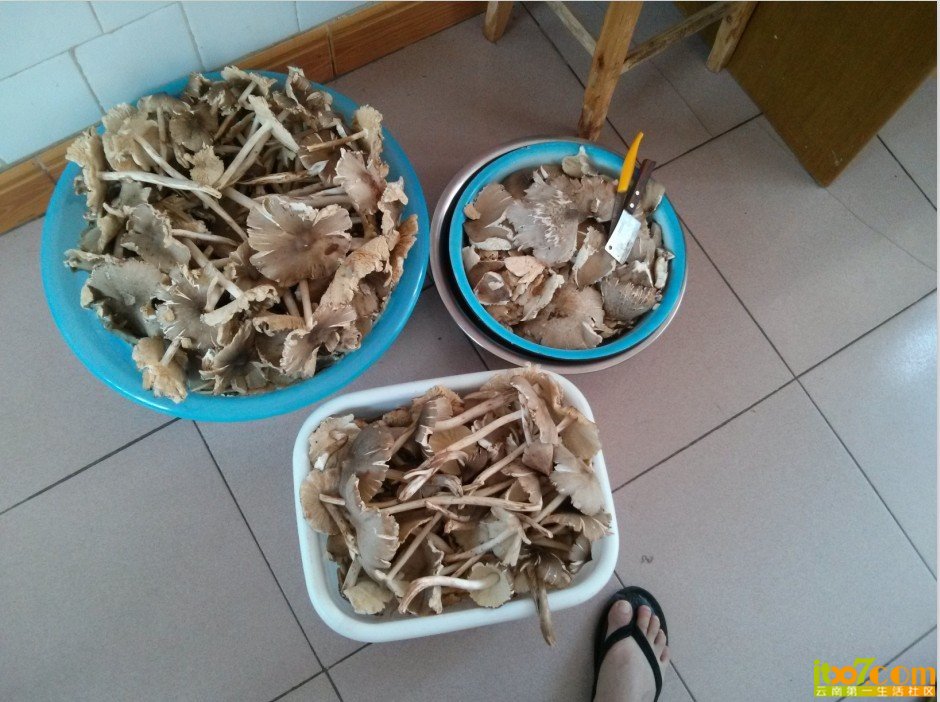 QQ图片20130731143728.jpg