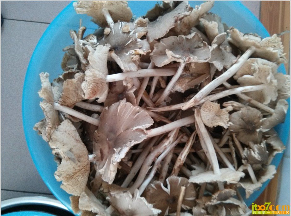 QQ图片20130731143743.jpg