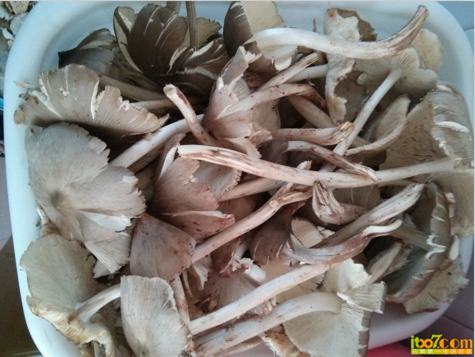 QQ图片20130731143759.jpg