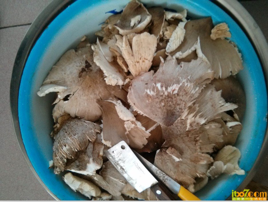 QQ图片20130731143814.jpg