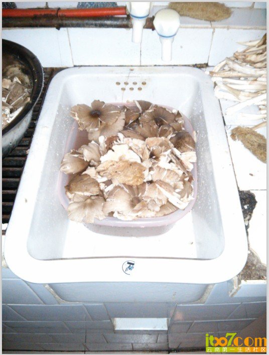 QQ图片20130731143845.jpg