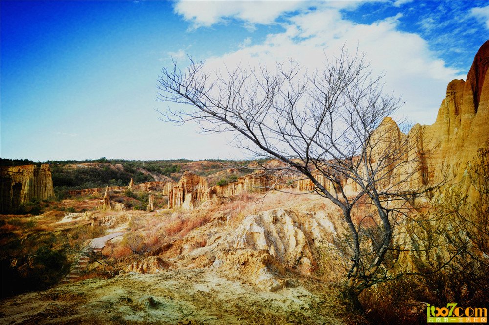 DSC_0114_副本.jpg