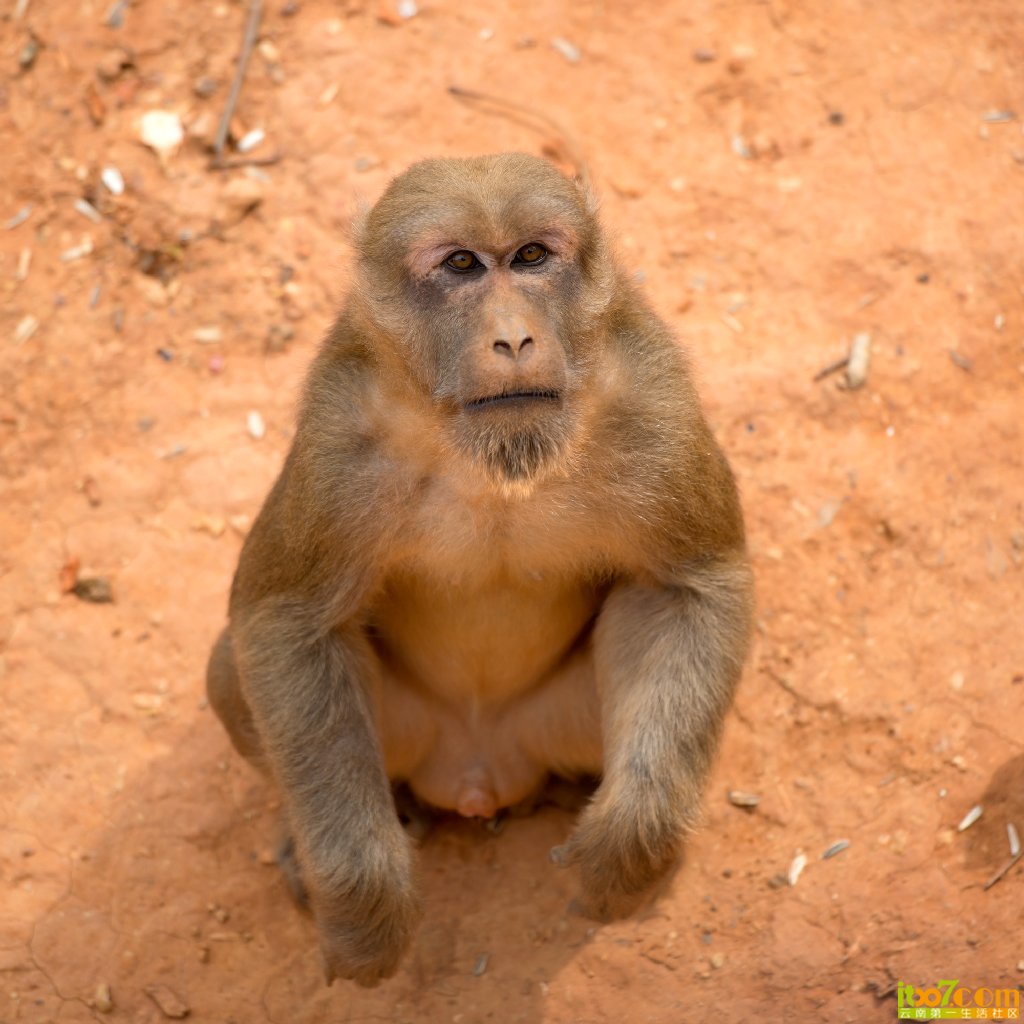 DSC_7162.jpg