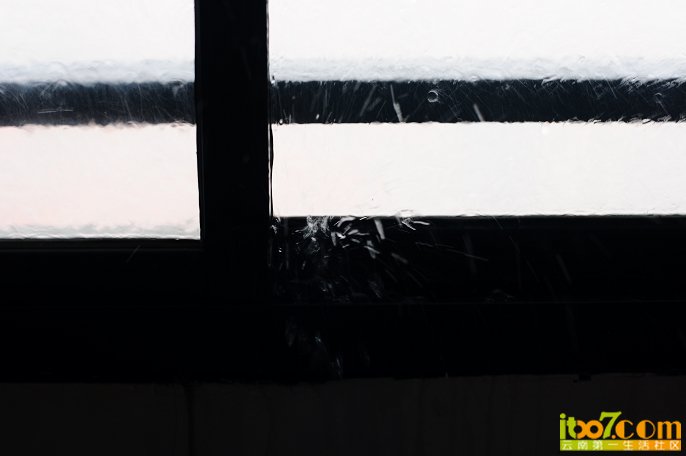DSC_9830_眸目压缩.JPG