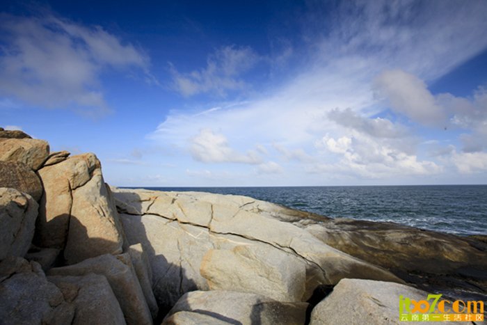 _MG_3974.jpg
