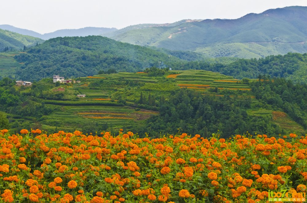 骑行 卧云山 106.jpg