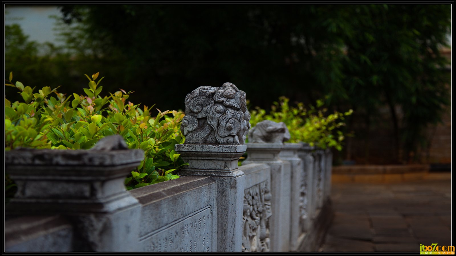 20130722-1-11.jpg
