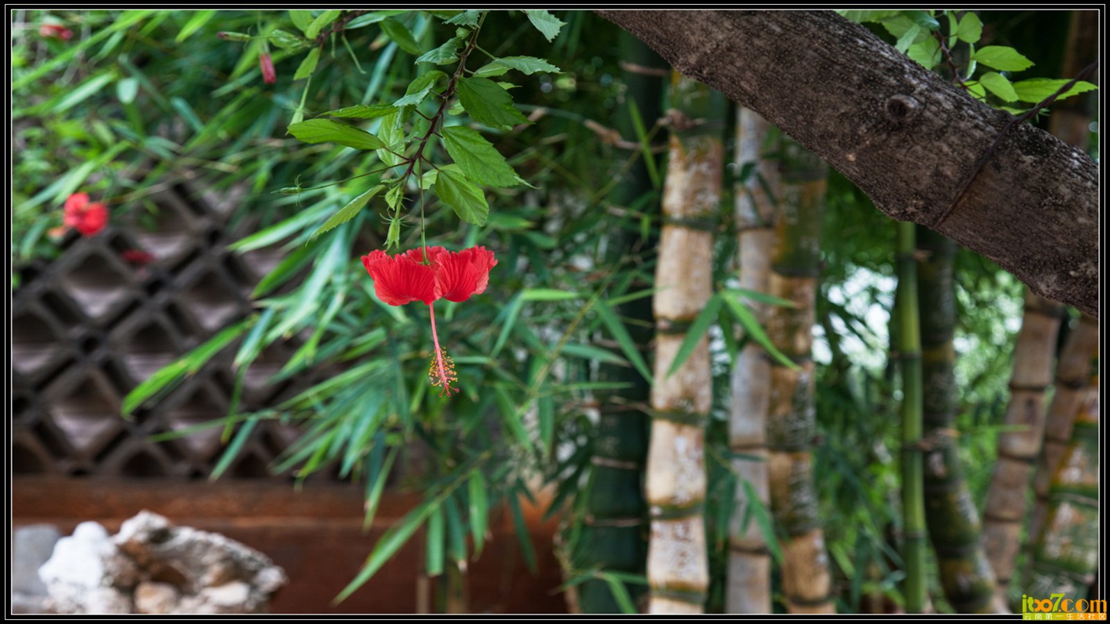 20130722-1-30.jpg