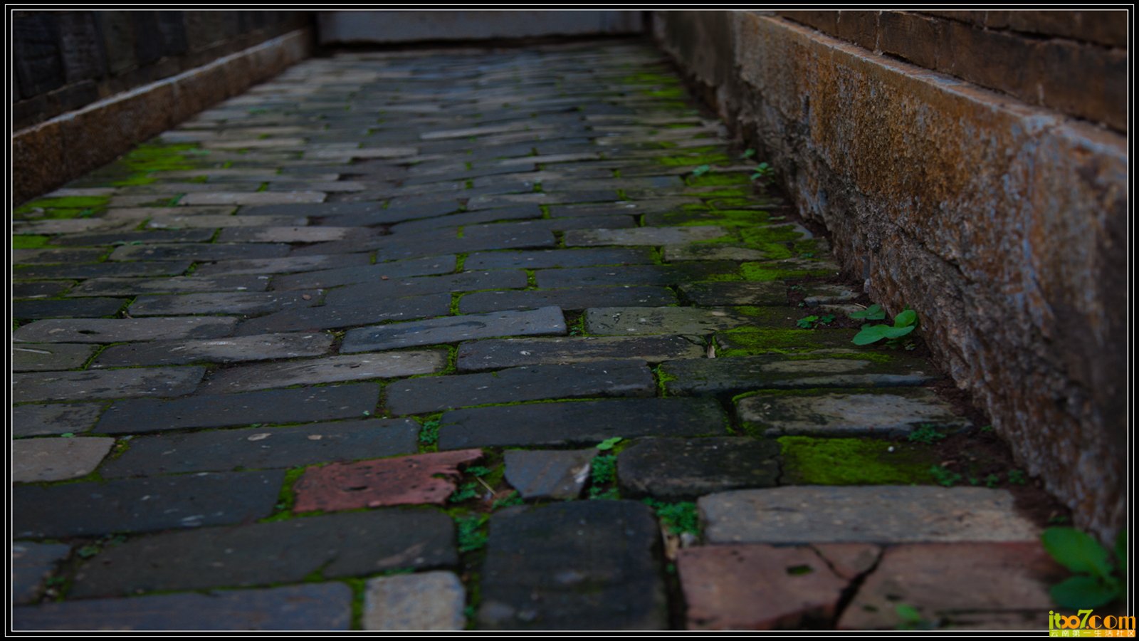 20130722-1-37.jpg