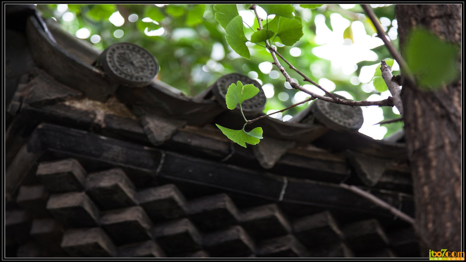 20130722-1-39.jpg
