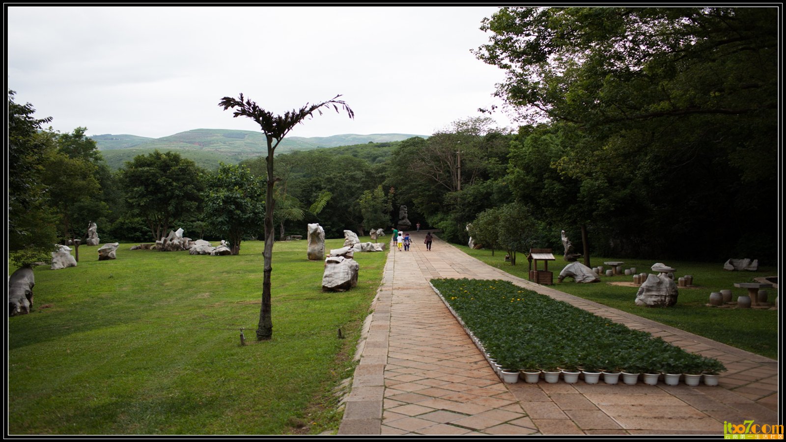 20130723-1-5.jpg