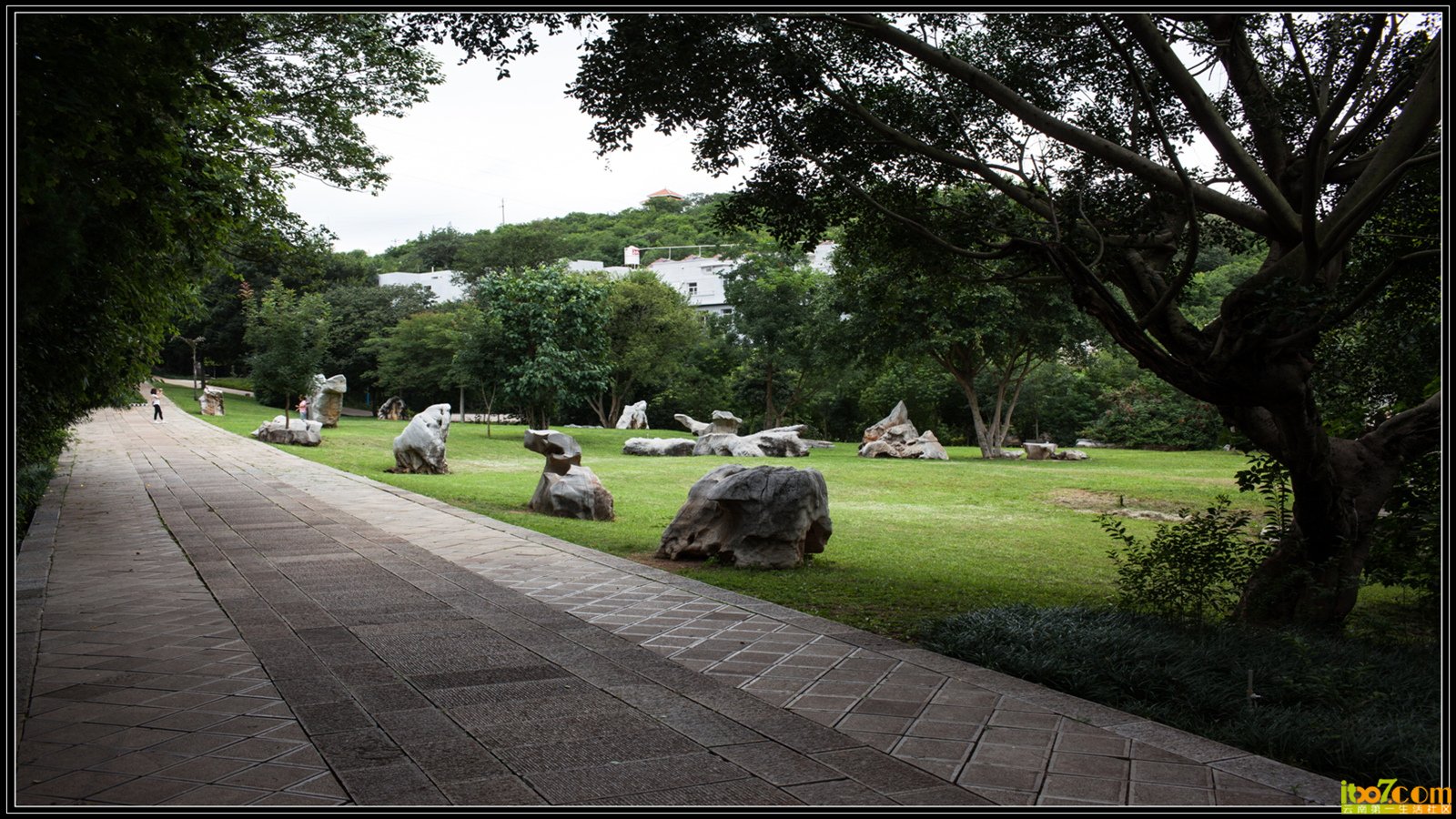 20130723-1-7.jpg