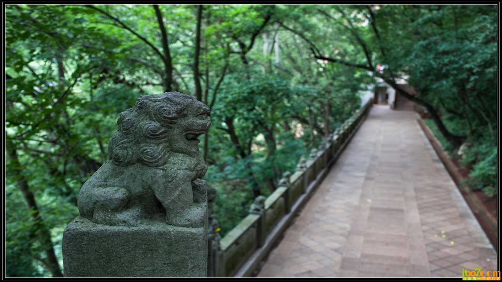 20130723-1-9.jpg