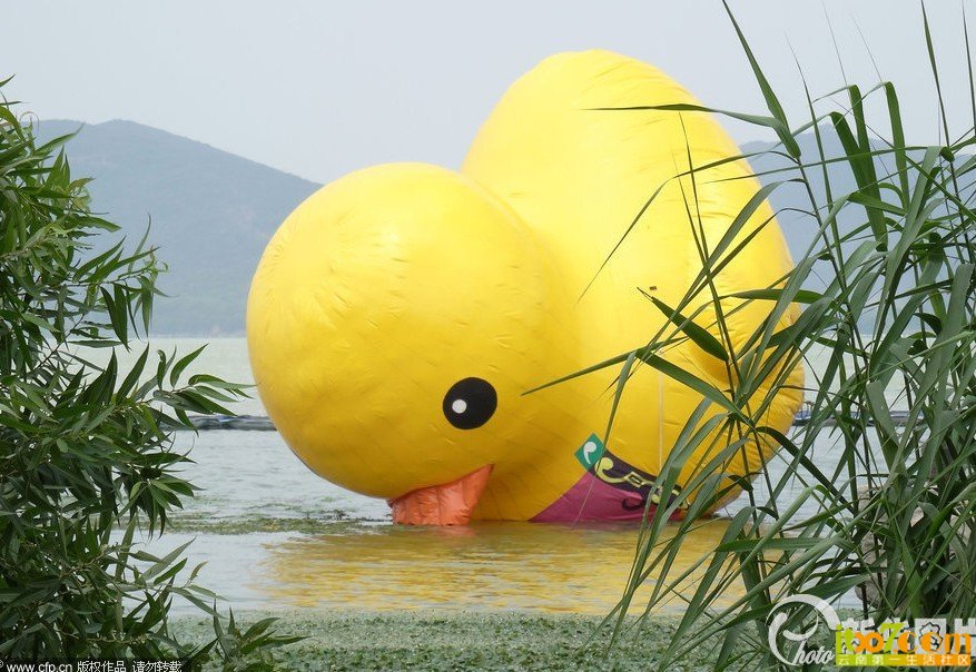 QQ图片20130901165755.jpg