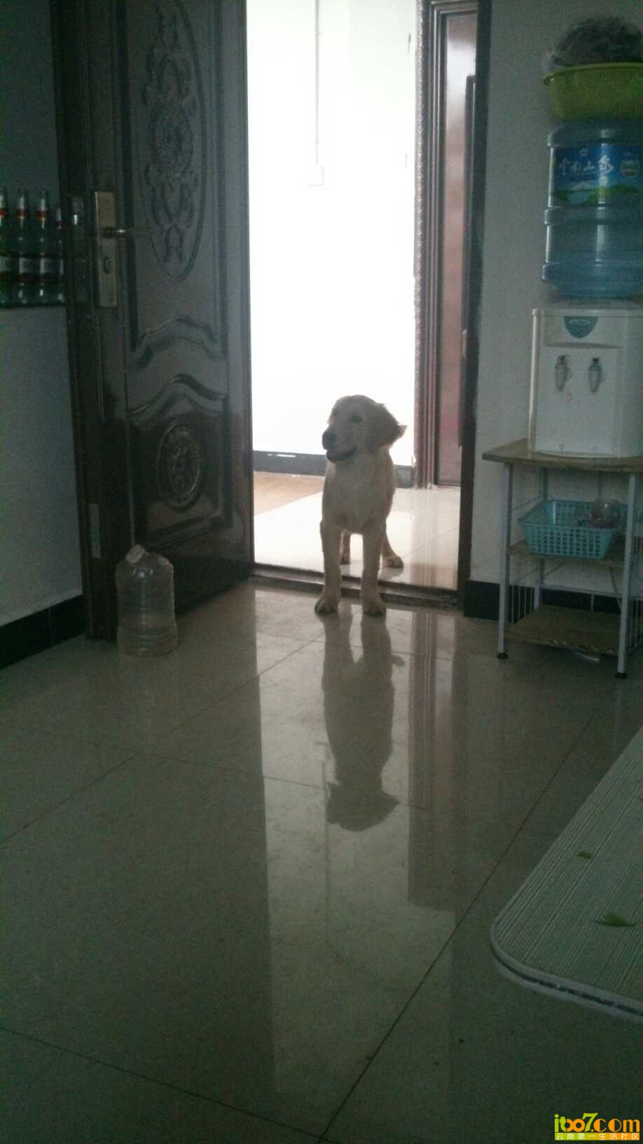 拉屎回来