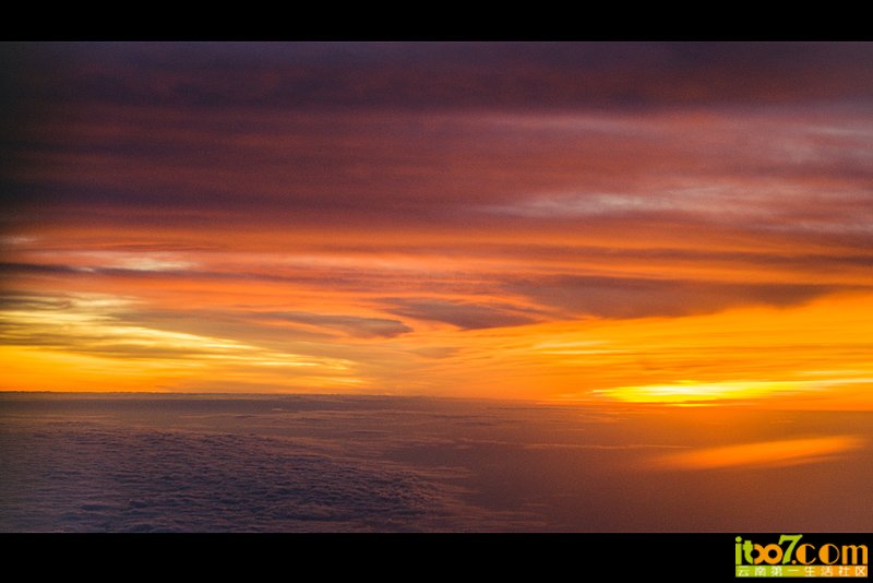 _DSC7788.jpg