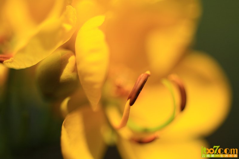 IMG_8430_副本.jpg