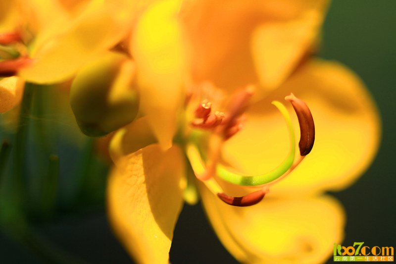 IMG_8432_副本.jpg