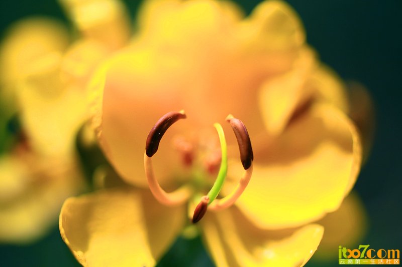 IMG_8455_副本.jpg